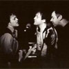 The Wrens
